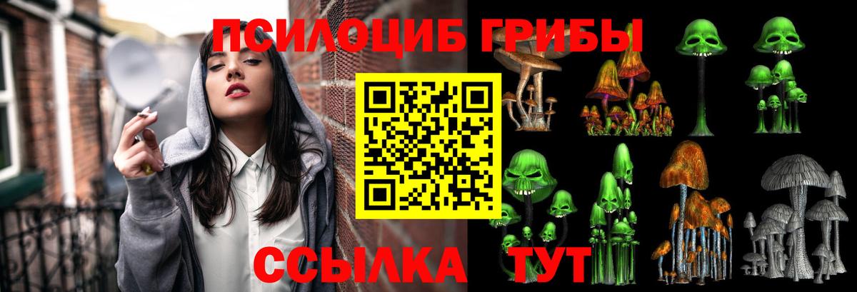 Псилоцибиновые грибы GOLDEN TEACHER Алапаевск